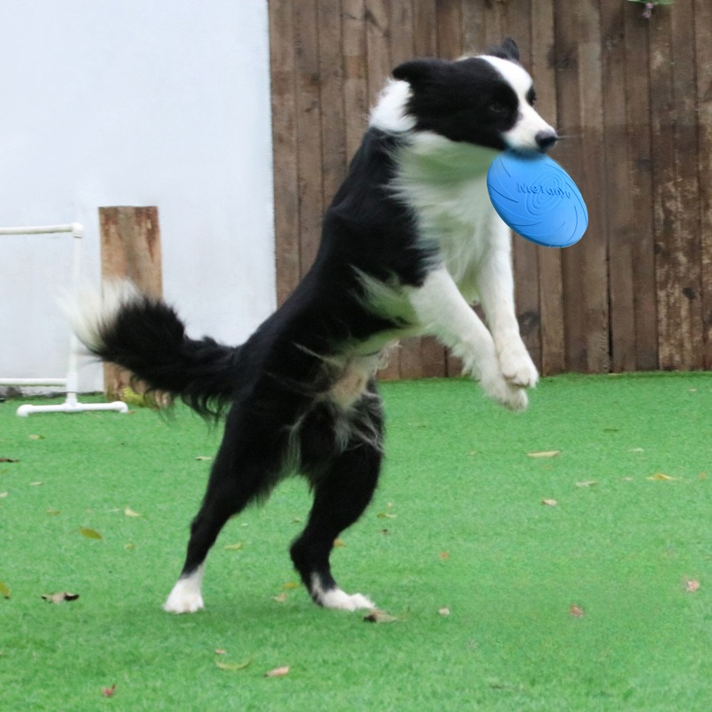 Frisbee Freestyle Disc - Frisbee para perros, frisbee especial para
