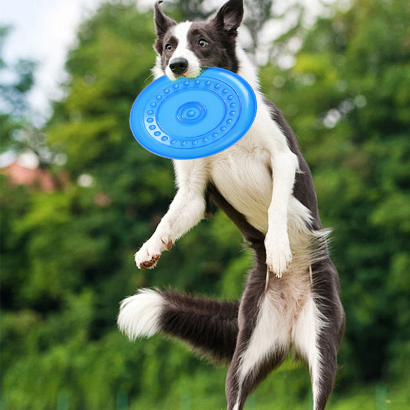 Frisbee Freestyle Disc - Juguete de frisbee masticable y duradero