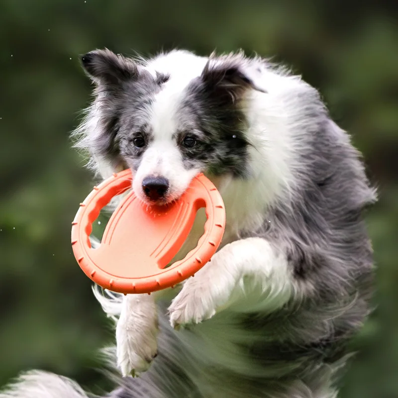 Frisbee Freestyle Disc - Disco Volador Resistente para Perros, Juguete