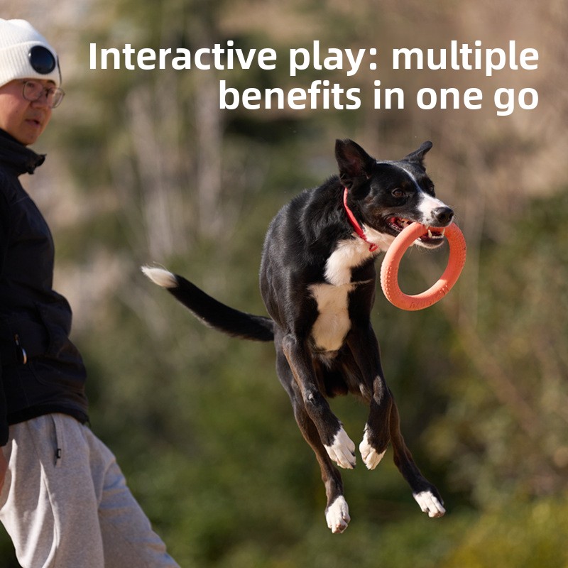 Frisbee de entrenamiento para  - Frisbee Freestyle Disc reseña y precio