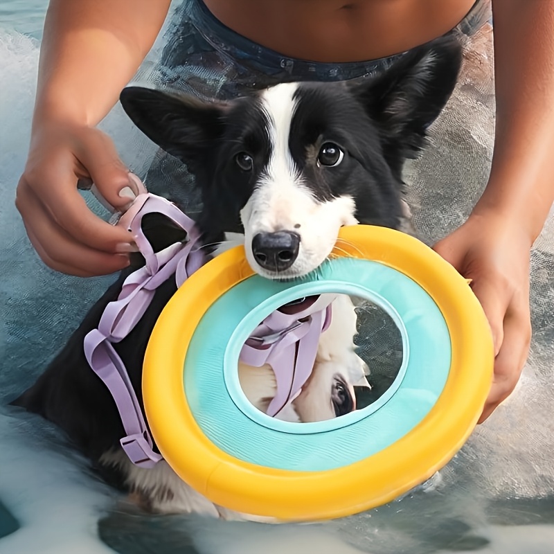 Frisbee Flotante para Perros,  - Frisbee Freestyle Disc reseña y precio