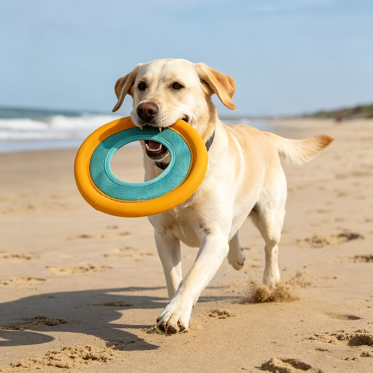 Frisbee Flotante para Perros,  - Frisbee Freestyle Disc reseña y precio