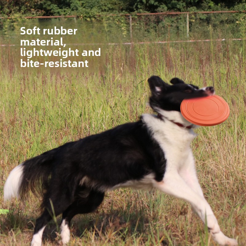 Frisbee Flotante para Perros,  - Frisbee Freestyle Disc reseña y precio