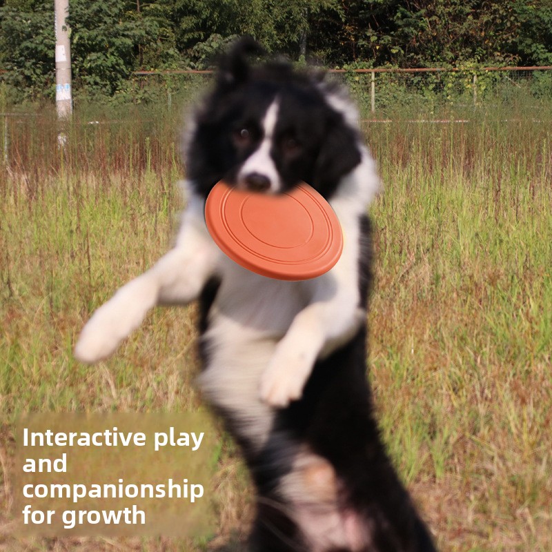 Frisbee Flotante para Perros,  - Frisbee Freestyle Disc reseña y precio