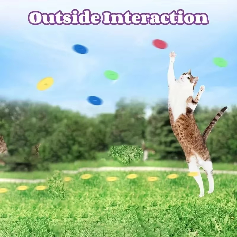 Juguetes Divertidos para Gatos - Frisbee Freestyle Disc reseña y precio