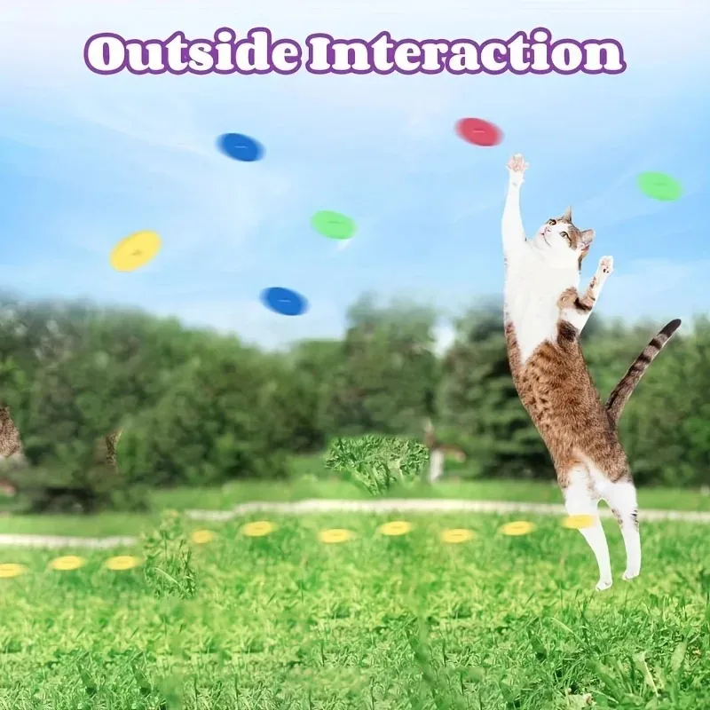 Juguetes Divertidos para Gatos - Frisbee Freestyle Disc reseña y precio