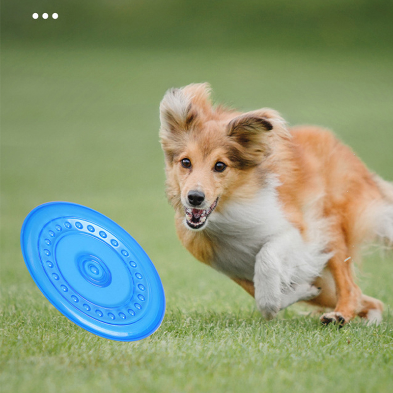 Juguete de frisbee masticable  - Frisbee Freestyle Disc reseña y precio